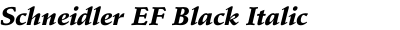Schneidler EF Black Italic